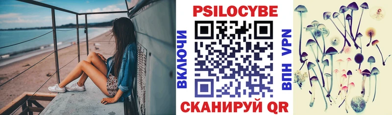 где найти наркотики  Данилов  Псилоцибиновые грибы GOLDEN TEACHER 